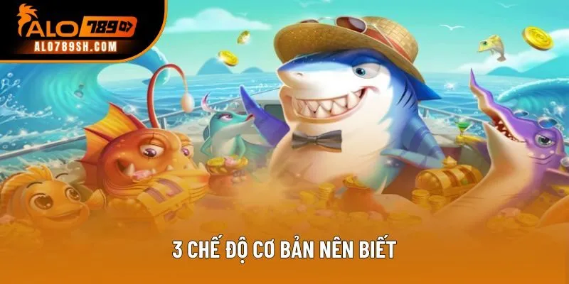 3 chế độ cơ bản nên biết