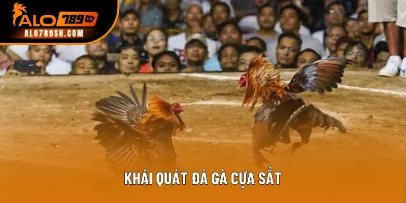 Khái quát đá gà cựa sắt