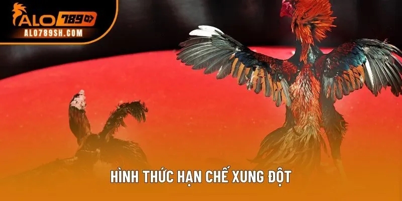 Hình thức hạn chế xung đột