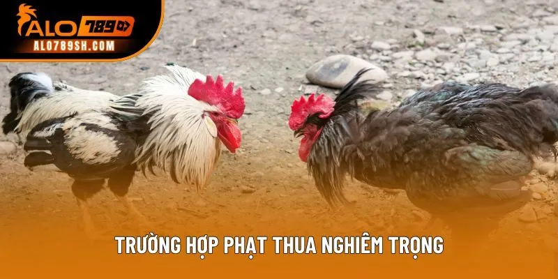 Trường hợp phạt thua nghiêm trọng