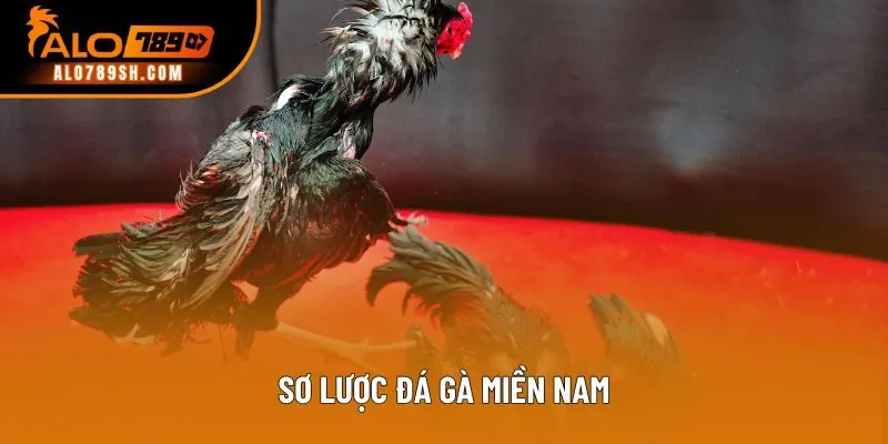 Sơ lược đá gà miền Nam